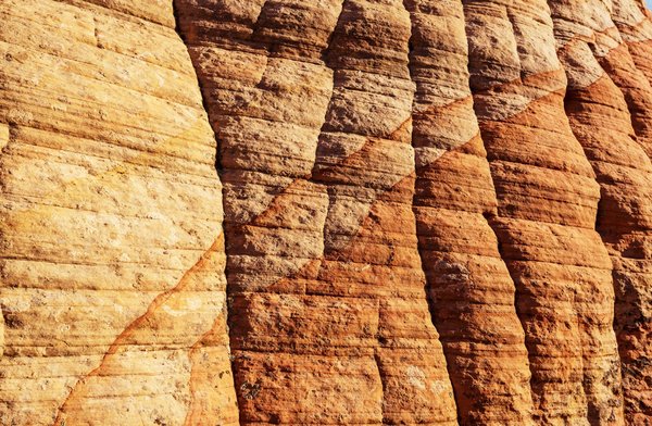 Le leadership de demain : l'importance de se former en management