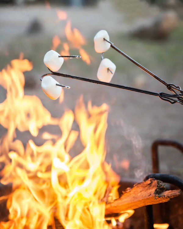 Quel type d'activité pratiquer lors de votre camping dans le Var ?